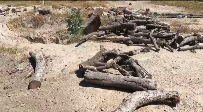 Guerreros Buscadores de Jalisco publica video inédito del rancho Izaguirre