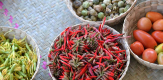 Identifican en la Mixteca Alta de Oaxaca plantas silvestres alimenticias