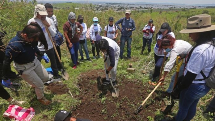 f960x540-63812_137887_5050