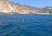 Localizan sin vida a persona reportada como desaparecida en zona costera