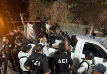 Golpe al narco, Fiscalía y Gabinete de seguridad desarticulan célula delictiva