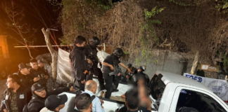 Golpe al narco, Fiscalía y Gabinete de seguridad desarticulan célula delictiva