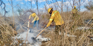 Mantiene Coesfo atención a incendios forestales y pastizales