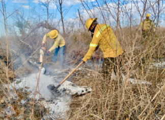 Mantiene Coesfo atención a incendios forestales y pastizales en el estado