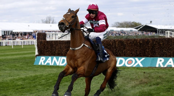 Denuncian muerte de caballos obligados a competir en carreras