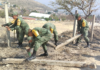 Realizan conscriptos del SMN labor en primaria de San Antonio de la Cal