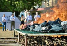 Incineran más de dos toneladas de droga en Salina Cruz