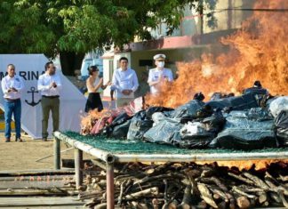 Incineran más de dos toneladas de droga en Salina Cruz