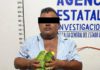 Asegura FGEO aves exóticas y presuntas dosis de droga en Ocotlán