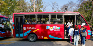Concluye implementación de 35 rutas del BinniBus en Valles Centrales