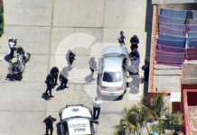Coordinan detención de ladrones de baterías