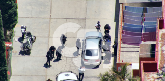 Coordinan detención de ladrones de baterías