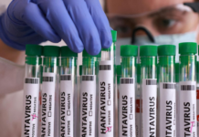 Emite salud aviso epidemiológico por el brote de hantavirus