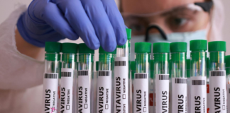Emite salud aviso epidemiológico por el brote de hantavirus