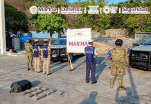 En costas de Oaxaca autoridades federales aseguran carga ilícita