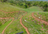 Presentan un proyecto de sostenibilidad hídrica y ambiental en San Juan Lalana