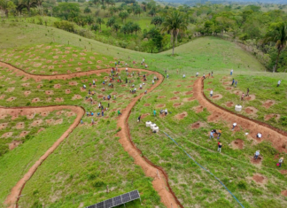Presentan un proyecto de sostenibilidad hídrica y ambiental en San Juan Lalana