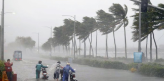 Advierte OMM urgencia climática por fenómeno de “El niño”