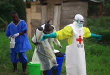 Supera los 320 cifra de casos confirmados de ébola en el Congo
