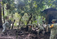 Ejército Mexicano y Guardia Nacional activaron el Plan DN-III-E