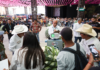 Celebran el Día del Magueyero con concurso “La Piña de Maguey Más Pesada”