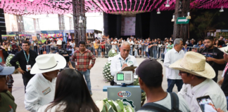Celebran el Día del Magueyero con concurso “La Piña de Maguey Más Pesada”