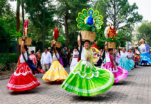Oaxaca llega a los Pinos para México y el mundo