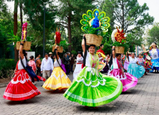 Oaxaca llega a los Pinos para México y el mundo