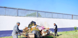 Destruyen en Oaxaca más de 854 kg de narcóticos y 16 mil objetos utilizados en delitos