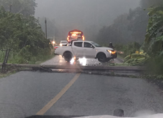 Caída de poste interrumpe circulación en carretera de Jacatepec