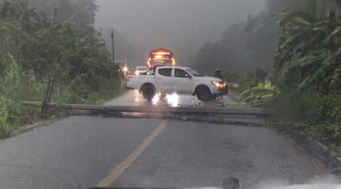 Caída de poste interrumpe circulación en carretera de Jacatepec