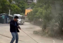 Sanciona Municipio de Oaxaca caso de maltrato animal tras denuncia ciudadana