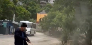Sanciona Municipio de Oaxaca caso de maltrato animal tras denuncia ciudadana
