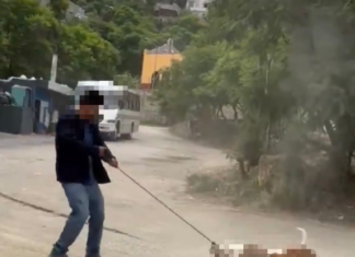 Sanciona Municipio de Oaxaca caso de maltrato animal tras denuncia ciudadana