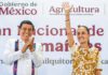 Destaca Romero López saldo positivo de la gira de Sheinbaum y avances para Oaxaca