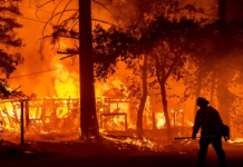 Fuego arrasa 700 casas en noroeste de EU; evacúan a más de 65 mil personas