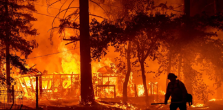 Fuego arrasa 700 casas en noroeste de EU; evacúan a más de 65 mil personas