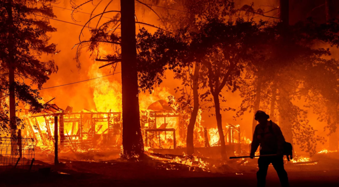 Fuego arrasa 700 casas en noroeste de EU; evacúan a más de 65 mil personas