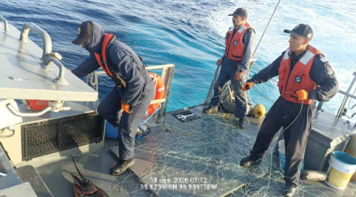 Retira Semar más de 2 mil 500 metros de “cimbra” en la Costa
