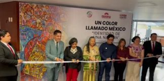 Llega oaxaqueño José Jiménez al Senado con “Un color llamado México”