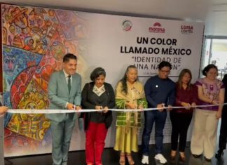 Llega oaxaqueño José Jiménez al Senado con “Un color llamado México”