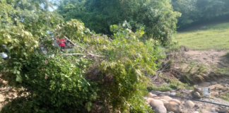 Atiende afectación por lluvias en carretera Río Grande–Juquila