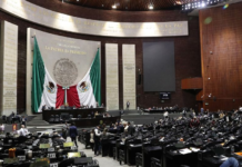 Diputados aprueban dictamen que prohíbe doble nacionalidad a candidatos