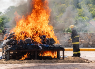 Incineran enervantes en Huatulco; equivalen a 78 mil 704 dosis