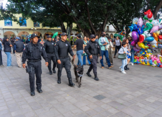 Reportan saldo blanco durante festejos del Grito de Independencia en Oaxaca