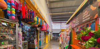 Cabildo aprueba actualización y regularización del padrón de mercados públicos