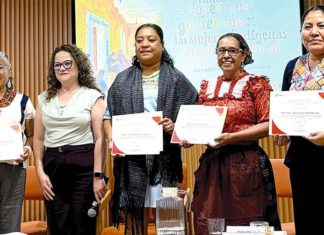 Más mujeres indígenas gobiernan en Oaxaca… pero bajo violencia