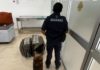 Aseguran más de 365 mil dólares en Aeropuerto Internacional de Oaxaca