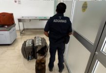 Aseguran más de 365 mil dólares en Aeropuerto Internacional de Oaxaca