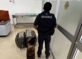 Aseguran más de 365 mil dólares en Aeropuerto Internacional de Oaxaca